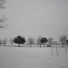 la grande nevicata del febbraio 2012 145